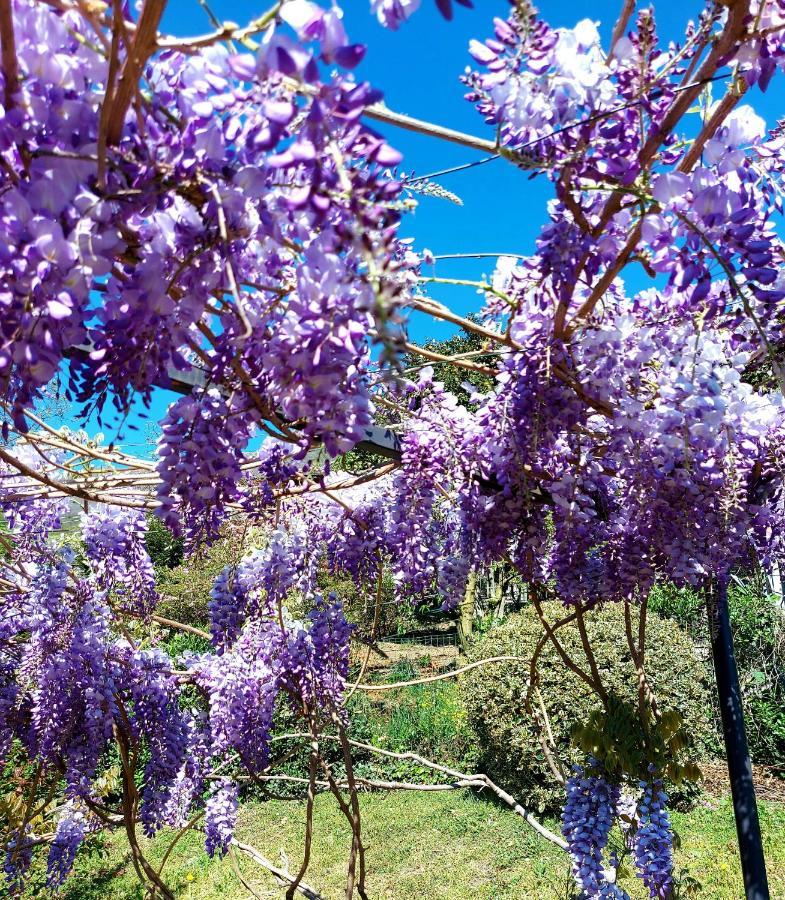 Casa Vacanza Il Glicine Casale Corte Cerro Bagian luar foto