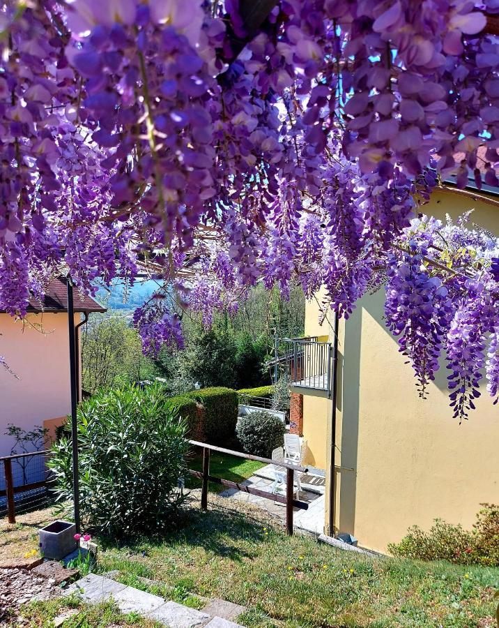 Casa Vacanza Il Glicine Casale Corte Cerro Bagian luar foto